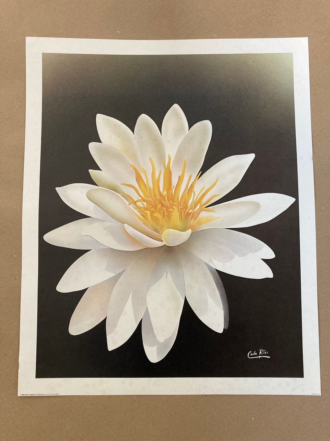 2 Carlos Rios Flower Prints - Etsy