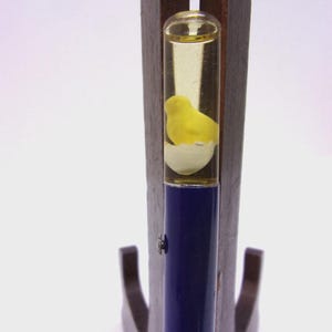 May include: A novelty pen featuring a yellow chick inside a clear, liquid-filled tube. The pen has a dark blue barrel and is mounted on a wooden stand. The chick is in a white eggshell.
