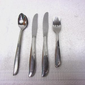 May include: A set of four stainless steel silverware pieces: two knives, a spoon, and a fork. The silverware has a floral design on the handles. The spoon and fork are on the left, and the knives are in the middle.