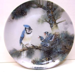 May include: A decorative plate featuring a detailed painting of a blue jay perched on a branch, with three baby birds in a nest. The plate has a white background with pine needles and cones, and a tree trunk.