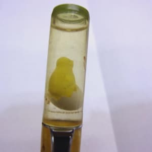 May include: A clear, cylindrical pen with a yellow chick figurine inside. The chick is emerging from a white egg. The pen has a green top and a gold-colored base.