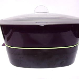 May include: A dark purple food storage container with a clear lid and a small handle. The container has a light green band around the middle. The lid is clear with a gray rim. The container is designed for food storage.