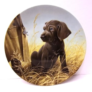 May include: A decorative plate featuring a brown puppy sitting in tall grass. The puppy has floppy ears and is looking to the side. A tan jacket and a whistle hang in the background. The plate has a light blue and yellow color scheme.