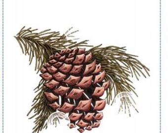Whimsy Stamps -- Pine Bough   -- NEW -- (#4625)