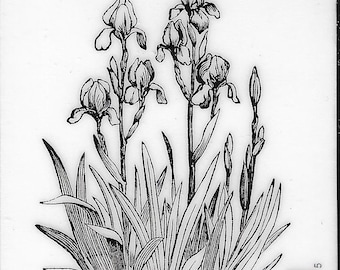 Deep Red Cling Stamps --     Iris in Bloom     -- NEW -- (#3847)