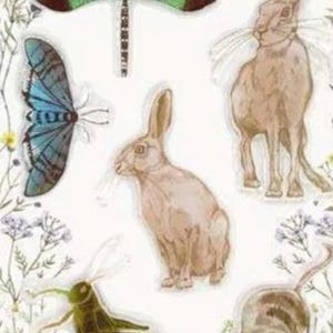 Craft Consortium -- Wildflower Meadow Stamp Set -- NEW -- (#3566) - Etsy