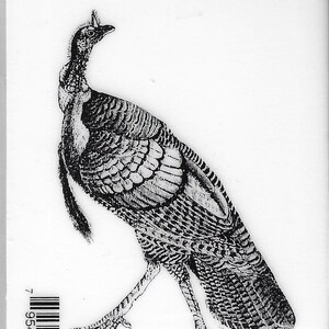 Timbri trasparenti rosso intenso - Tom Turkey - NUOVI - (#3855)