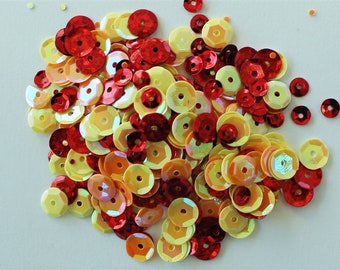 Clear Scraps -- Sequins  -- SUMMER -- NEW  (#3545)