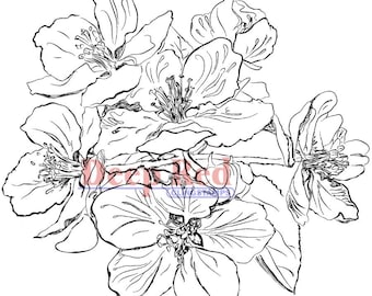 Deep Red Cling Stamps --    Apple Blossoms.  -- NEW -- (#4831)
