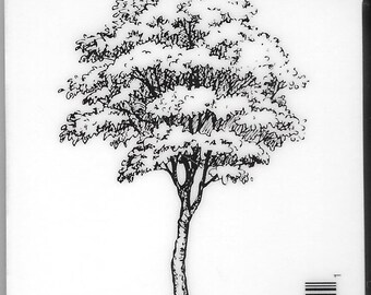 Deep Red Cling Stamps -- Cottonwood Tree  -- NEW -- (#2742)