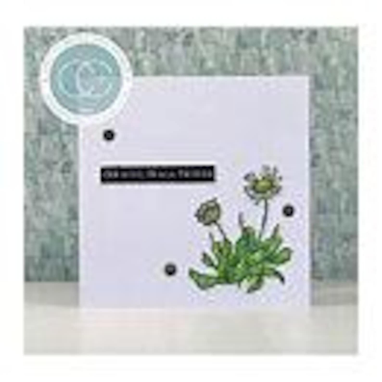 Craft Consortium -- at Home in the Wildflowers - Flora Stamp Set - NEW ...