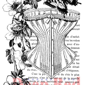 Timbri trasparenti rosso intenso -- Corset Collage -- NUOVO -- (#4657)
