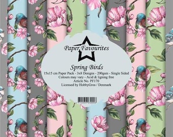 6 x 6 Paper Pad ~ Spring Birds  ~ Single sided ~~  NEW ~~  (#4645)