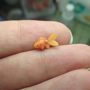 Tiny goldfish, 1 cm long