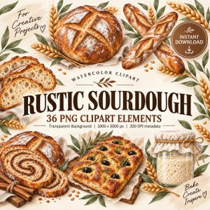 Può includere: Set di clipart ad acquerello con pane a lievitazione naturale rustico, tra cui una pagnotta rotonda, baguette, pane a fette, focaccia con olive e un barattolo di lievito madre. Il testo recita RUSTIC SOURDOUGH, 36 PNG CLIPART ELEMENTS.
