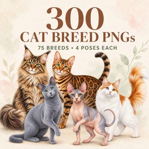 Pode incluir: Uma coleção digital de 300 arquivos PNG de raças de gatos, com 75 raças e 4 poses cada. A imagem exibe cinco gatos distintos: um gato malhado castanho de pelo comprido, um Bengal manchado, um gato cinzento sólido, um Sphynx sem pelo e um gato branco e laranja.
