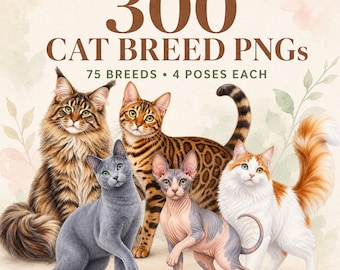 May include: A digital collection of 300 cat breed PNGs featuring 75 breeds with 4 poses each. The image displays five distinct cats: a long-haired brown tabby, a spotted Bengal, a solid gray cat, a hairless Sphynx, and a white and orange cat.