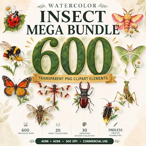 May include: A digital collection titled Watercolor Insect Mega Bundle 600 Transparent PNG Clipart Elements featuring illustrations of a ladybird, bee, butterfly, dragonfly, beetle, moth, and mantis, each paired with white daisy flowers.