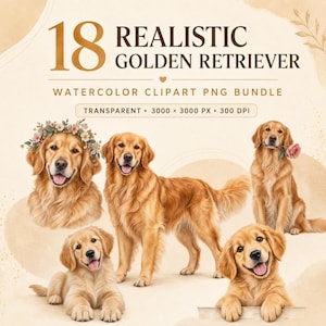 Op de afbeelding: Een digitale set van 18 realistische aquarelillustraties van Golden Retrievers. De tekst luidt 18 REALISTIC GOLDEN RETRIEVER WATERCOLOR CLIPART PNG BUNDLE. De afbeeldingen tonen honden met bloemenkransen, rozen en in diverse houdingen.