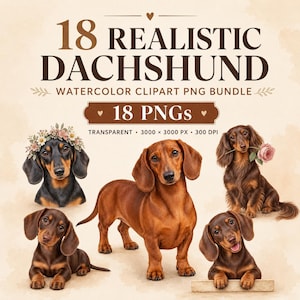 Op de afbeelding: Een digitale bundel van 18 realistische aquarel teckel clipart PNG's. De tekst luidt 18 REALISTIC DACHSHUND WATERCOLOR CLIPART PNG BUNDLE, 18 PNGs, en 3000 x 3000 PX, 300 DPI. Vijf illustraties van teckels worden in diverse houdingen getoond.