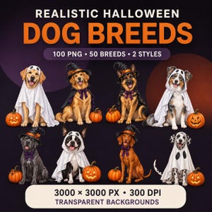 Könnte beinhalten: Eine digitale Sammlung realistischer Halloween-Hunderassen mit 100 PNG-Dateien, 50 Rassen und 2 Stilen. Die Grafik zeigt verschiedene Hunde in Geisterkostümen und Hexenhüten neben Kürbissen, mit Textangaben von 3000 x 3000 PX und 300 DPI.