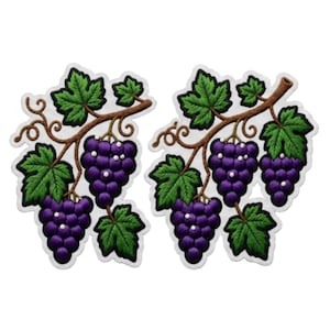 Può includere: Due toppe ricamate raffiguranti grappoli d'uva viola scuro appesi a tralci di vite marroni con foglie verde brillante. Ogni toppa presenta un design dettagliato di grappoli d'uva con riflessi bianchi sugli acini, rifinita con un bordo bianco.