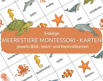 Montessori 3-part cards: 10 sea creatures | Picture cards, word cards & control cards | Learning material to cut out