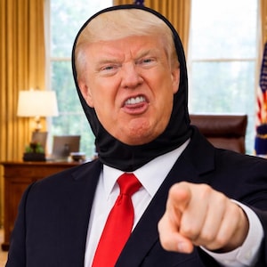May include: A person wearing a black hood, a dark suit, and a red tie, pointing directly at the viewer. The person has blonde hair and an angry expression. The background includes a window, a desk, and a flag.