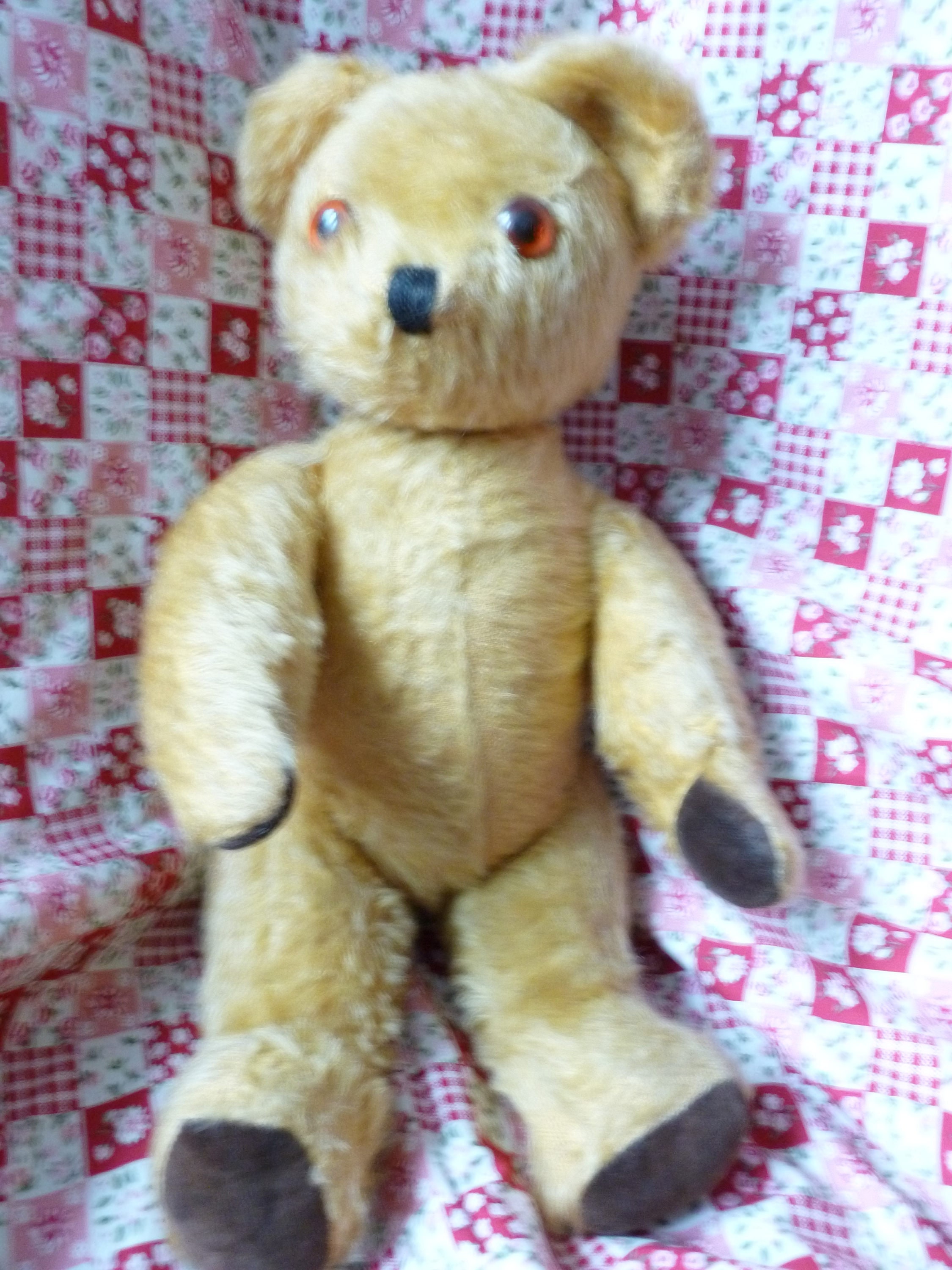 pedigree teddy bear 1950s