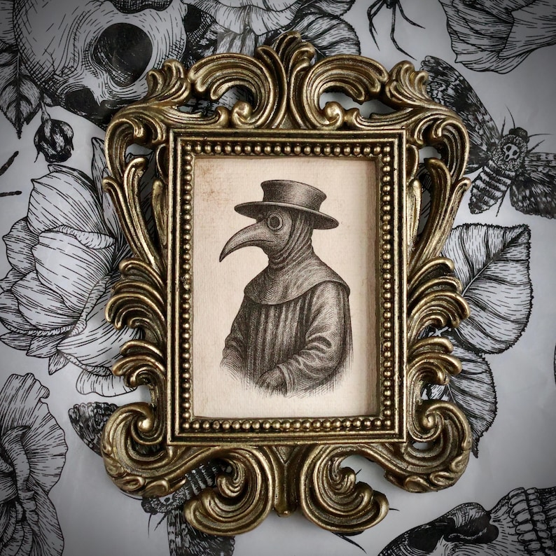 May include: A framed print featuring a detailed illustration of a plague doctor in a hat and mask. The print is set within an ornate, gold-colored frame. The background is a floral wallpaper in black and white.
