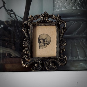 Baroque Skull Mini Portrait in Vintage Style Frame – Gothic Cottagecore Decor, Dark Academia Artwork, Victorian Inspired Oddity