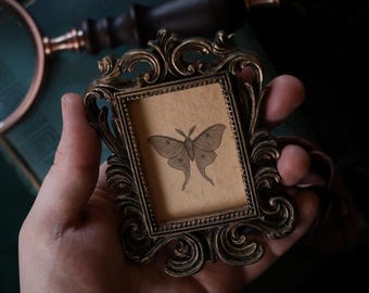 Baroque Luna Moth Mini Portrait in Vintage Style Frame – Gothic Cottagecore Decor, Dark Academia Artwork, Victorian Inspired Oddity