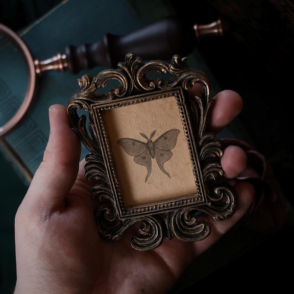 Mini retrato de polilla lunar barroca en marco vintage: decoración gótica cottagecore, obra de arte de Dark Academia, rareza de inspiración victoriana