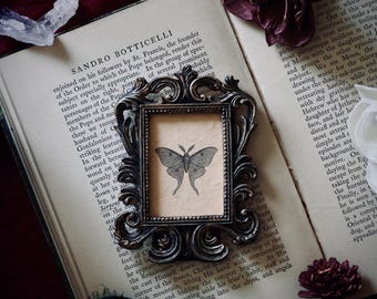 May include: A small, ornate, dark metallic picture frame with intricate scrollwork detailing. Inside the frame is a beige fabric insert featuring a black line-art illustration of a moth with detailed wings, centered on an open vintage book page.