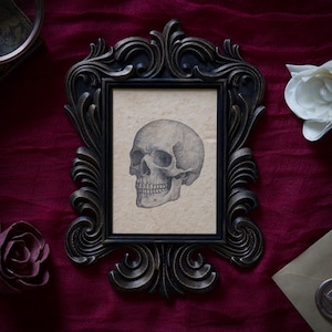Skull Baroque Portrait in Vintage Style Frame – Gothic Cottagecore Decor, Dark Academia Artwork, Victorian Inspired Oddity