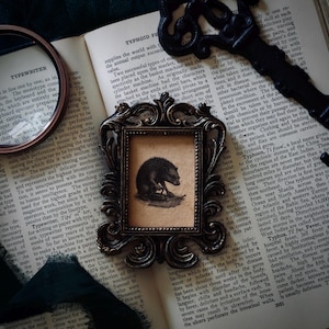 Pode incluir: Uma impressão antiga emoldurada de um pequeno animal, possivelmente um roedor, em um fundo bege. A moldura ornamentada de bronze escuro está sobre um livro aberto com texto. Uma lupa e uma chave também estão presentes.
