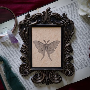 Luna Moth Baroque Portrait in Vintage Style Frame – Gothic Cottagecore Decor, Dark Academia Artwork, Victorian Inspired Oddity