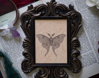 Luna Moth Baroque Portrait in Vintage Style Frame – Gothic Cottagecore Decor, Dark Academia Artwork, Victorian Inspired Oddity