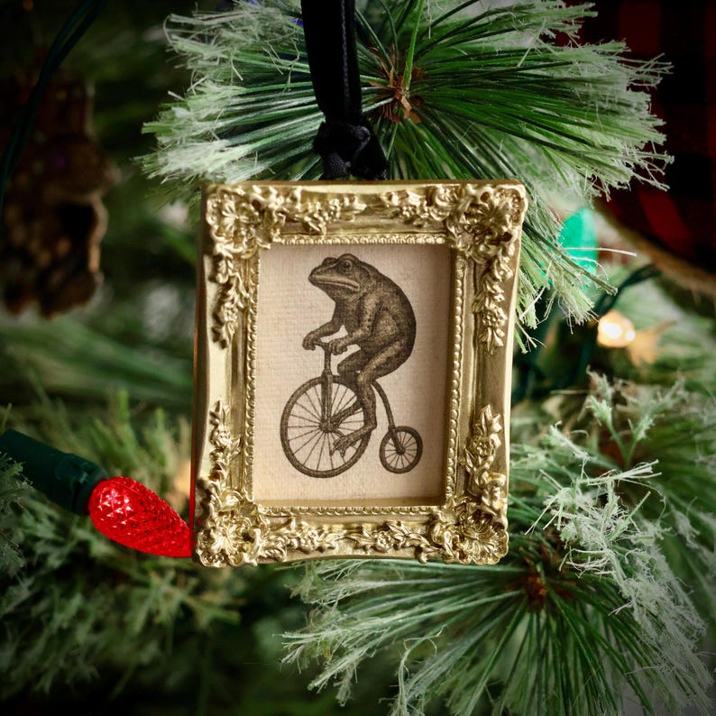 May include: A gold-colored framed ornament featuring a vintage illustration of a frog riding a penny-farthing bicycle. The ornament is hanging on a Christmas tree with green needles and a red light.