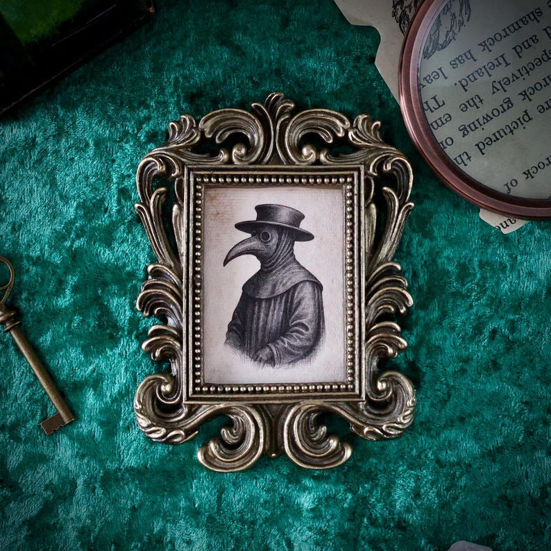 May include: A framed pencil drawing of a plague doctor in a decorative gold-colored frame. The drawing depicts the plague doctor wearing a hat and beak-like mask. The frame is ornate with scrolling details, set against a green velvet background.