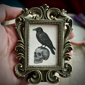 May include: An antique gold-coloured frame with an intricate design holds a black and white illustration. The illustration shows a black raven perched on a human skull. The frame is small and ornate.