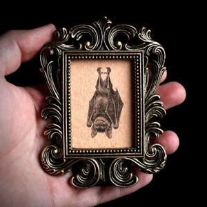 May include: A small rectangular picture frame with an ornate, antique bronze-colored metal border featuring scrollwork details. Inside the frame is a light tan fabric background displaying a detailed black ink illustration of a bat hanging upside down.