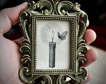 Moth & Candle Baroque Mini Portrait in Vintage Style Frame – Gothic Cottagecore Decor, Dark Academia Art, Victorian Inspired Oddity