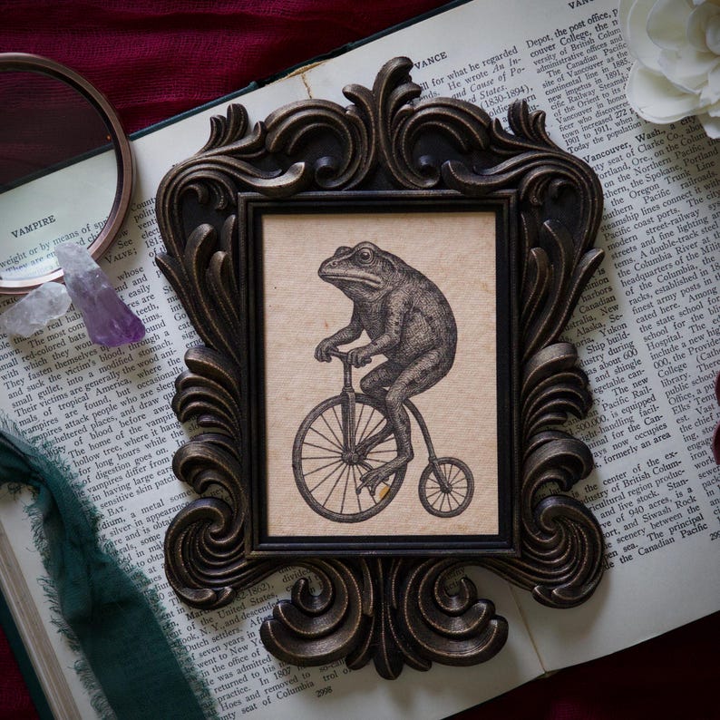 Frog on Bicycle Baroque Portrait in Vintage Style Frame – Gothic Cottagecore Decor, Dark Academia Artwork, Victorian Inspired Oddity