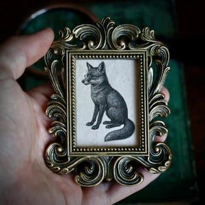 Könnte beinhalten: Ein kleiner, verzierter Messingrahmen im antiken Stil. Er enthält eine Schwarz-Weiß-Illustration eines Fuchses mit Brille. Der Fuchs sitzt. Der Rahmen ist etwa 10 cm hoch.
