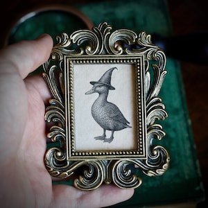 Puede incluir: Un pequeño marco dorado antiguo y ornamentado. Contiene una ilustración en blanco y negro de un pato con un sombrero de bruja. El marco tiene un diseño elaborado con volutas.