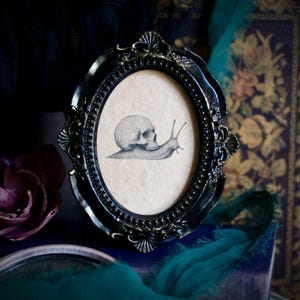 Snail Skull Shell Mini Oval Portrait in Antique Style Frame - Gothic Cottagecore, Dark Academia Art, Victorian Style Oddity, Whimsical Art