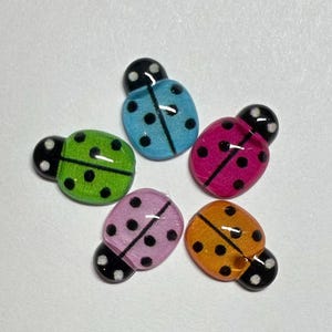 May include: Five colorful ladybug-shaped embellishments. The ladybugs are in shades of green, blue, pink, purple, and orange, each with black spots and a black head. These decorative elements are ideal for craft projects.