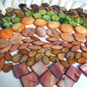 May include: A collection of assorted shell beads in various shapes and colours, including green flower-shaped beads, orange circular discs, brown oval pieces, and square-shaped beads with a smooth, iridescent finish arranged in a gradient pattern.