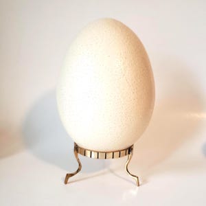 May include: A large, off-white ostrich egg with a textured surface, displayed on a decorative gold-colored metal stand. The egg is the focal point, showcasing its natural speckled pattern and substantial size. The stand has curved legs.